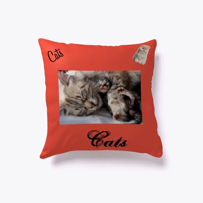 cat cushion